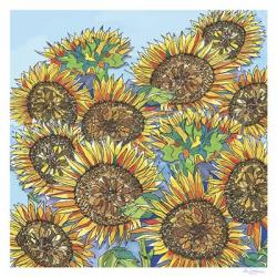 Sunflowers Upclose | Obraz na stenu
