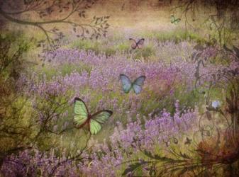 Butterfly Garden | Obraz na stenu