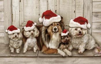Dogs Christmas | Obraz na stenu