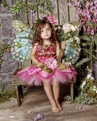 Beautiful Fairy 2 | Obraz na stenu