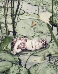 Sleeping on Lily Pads | Obraz na stenu