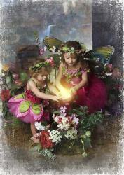 Fairies Find the Light | Obraz na stenu