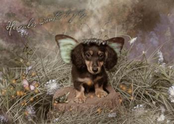 Fairy Dog | Obraz na stenu