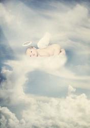 Angel Baby | Obraz na stenu