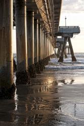 Venice Beach Pier | Obraz na stenu