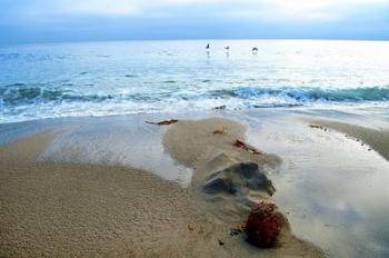 Zuma Beach, Ca | Obraz na stenu