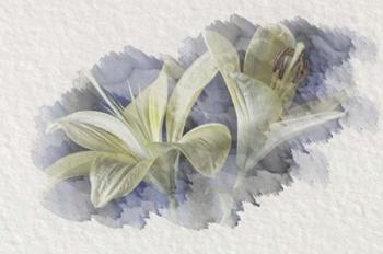 Yellow Lily 2 | Obraz na stenu