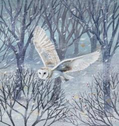 Barn Owl and Winter Trees | Obraz na stenu