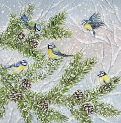 Bluetits and Fir Branches | Obraz na stenu