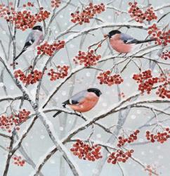 Bullfinches and Berries | Obraz na stenu