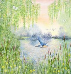 Kingfisher and Willows | Obraz na stenu
