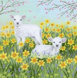 Spring lambs | Obraz na stenu