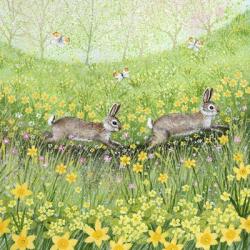 Spring Rabbits | Obraz na stenu