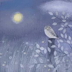 Yellow Moon and Little Owl | Obraz na stenu