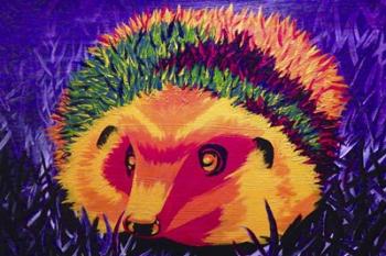 Colorful Hedgehog | Obraz na stenu