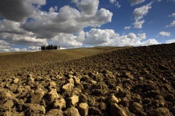 Tuscany II | Obraz na stenu