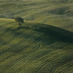 Tuscany IX | Obraz na stenu