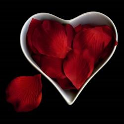 Love Overflowing - Heart Valentine Petals | Obraz na stenu
