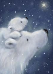 Polar Bear And Cub 2 | Obraz na stenu