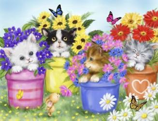 Cats in Flower Pot | Obraz na stenu