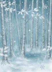 Winter Wood | Obraz na stenu