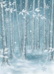 Winter Wood | Obraz na stenu