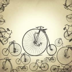 Antique Bicycles | Obraz na stenu