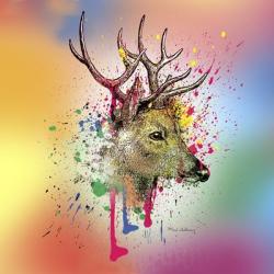 Deer 6 | Obraz na stenu