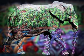Elephant 1 | Obraz na stenu