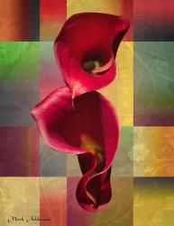 Red Cala Lily | Obraz na stenu