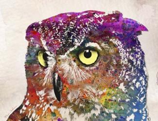 Owl Drowing | Obraz na stenu