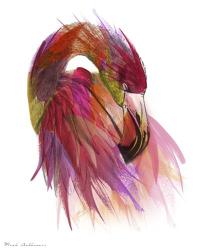 Flamingo Colors 2 | Obraz na stenu