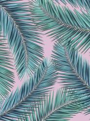 Palm-Tree | Obraz na stenu