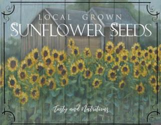 Sunflower Seeds | Obraz na stenu