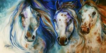 3 Wild Appaloosa Horses | Obraz na stenu