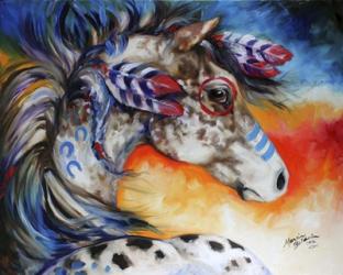 Appaloosa Indian War Horse | Obraz na stenu