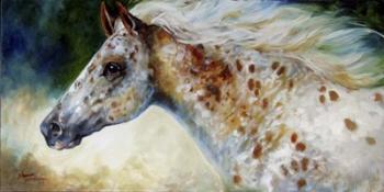 Appaloosa Spirit | Obraz na stenu