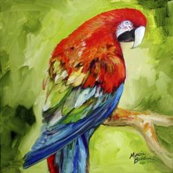 Macaw Tropical | Obraz na stenu