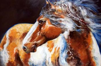 Mohican Indian War Horse | Obraz na stenu