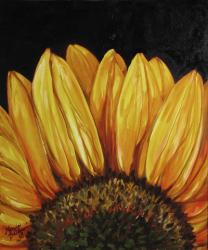 Sunflower Sunflower | Obraz na stenu