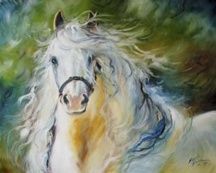 White Cloud The Andlusian Stallion | Obraz na stenu