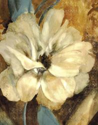 Cream Flower 1 | Obraz na stenu