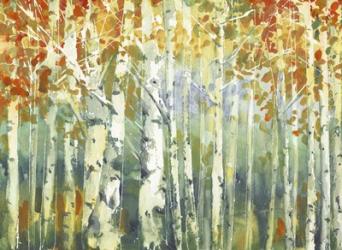 Abstract Birch Trees Warm | Obraz na stenu