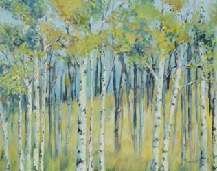 Birch Forest | Obraz na stenu