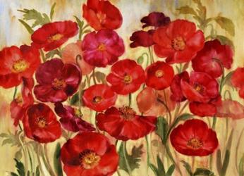 Red Poppies | Obraz na stenu