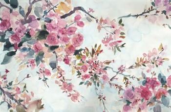 Cherry Blossoms Morning | Obraz na stenu
