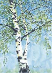Aspen Tree 1 | Obraz na stenu