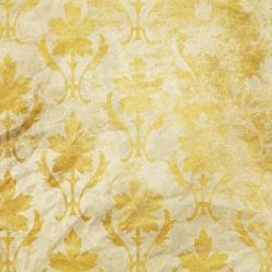 Old Yellow Plant | Obraz na stenu