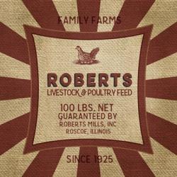 Roberts Starburst Feed Sack | Obraz na stenu