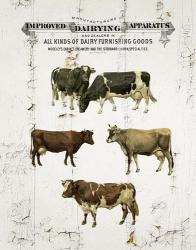 Dairy Cows | Obraz na stenu